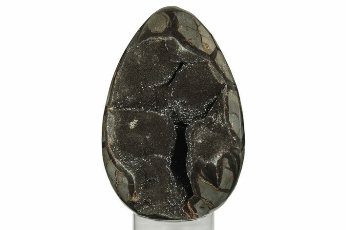 8.4" Septarian "Dragon Egg" Geode - Black Crystals